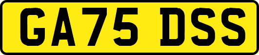 GA75DSS