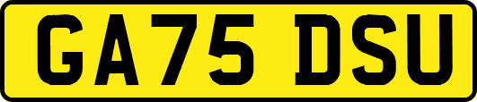 GA75DSU