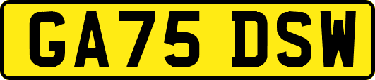 GA75DSW