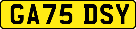 GA75DSY