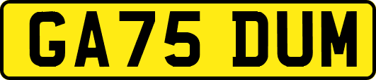 GA75DUM