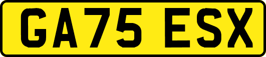GA75ESX
