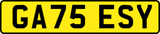 GA75ESY