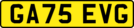 GA75EVG