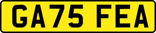 GA75FEA