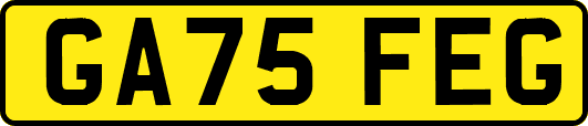 GA75FEG
