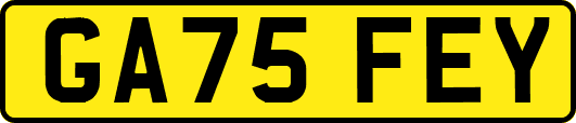 GA75FEY