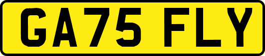 GA75FLY