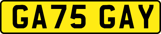 GA75GAY