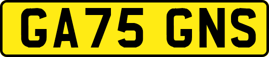 GA75GNS