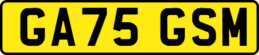 GA75GSM