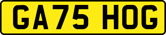 GA75HOG