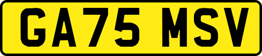 GA75MSV
