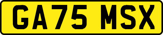 GA75MSX