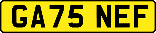 GA75NEF