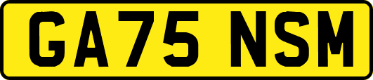 GA75NSM