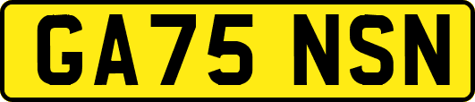 GA75NSN