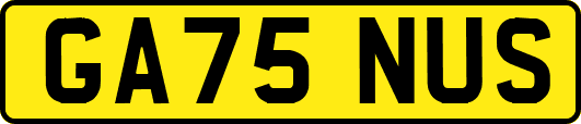 GA75NUS