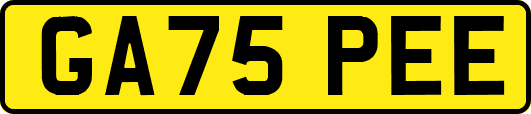 GA75PEE