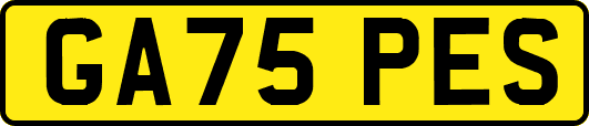 GA75PES