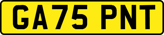 GA75PNT