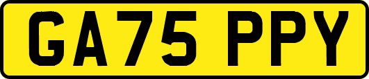 GA75PPY