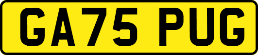 GA75PUG