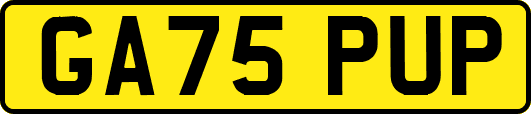 GA75PUP