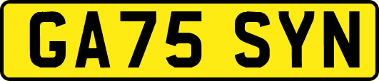 GA75SYN