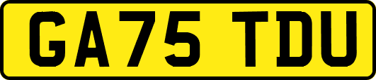 GA75TDU