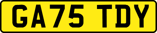GA75TDY