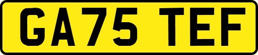 GA75TEF