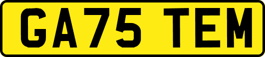 GA75TEM