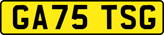GA75TSG