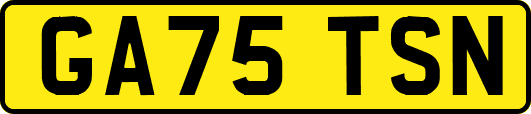 GA75TSN