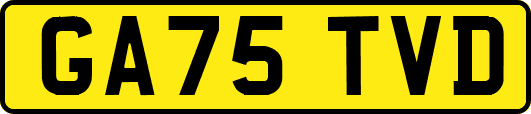 GA75TVD