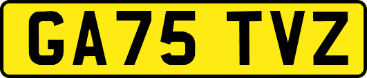 GA75TVZ