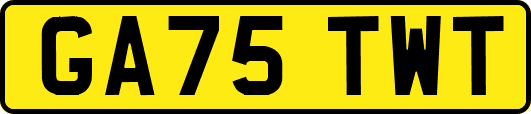 GA75TWT