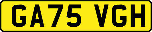 GA75VGH
