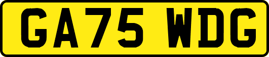 GA75WDG