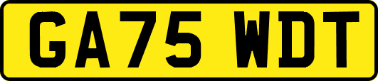 GA75WDT