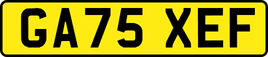 GA75XEF