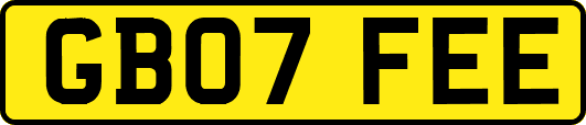 GB07FEE