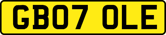 GB07OLE