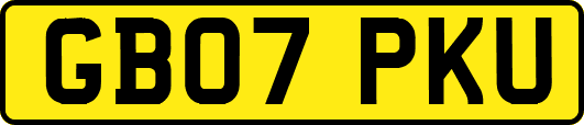GB07PKU