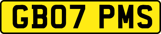 GB07PMS