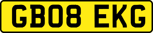 GB08EKG