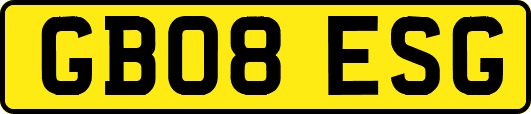GB08ESG