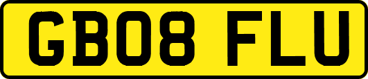 GB08FLU