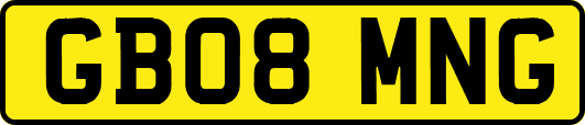 GB08MNG